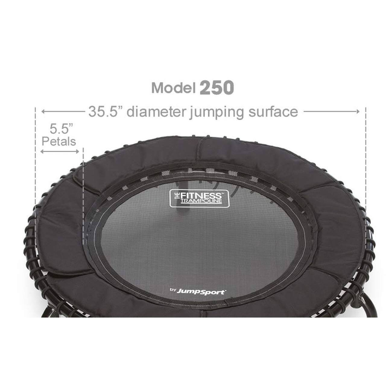Model 250  
35.5" diameter jumping surface  
5.5" Petals  
THE FITNESS TRAMPOLINE by JumpSport