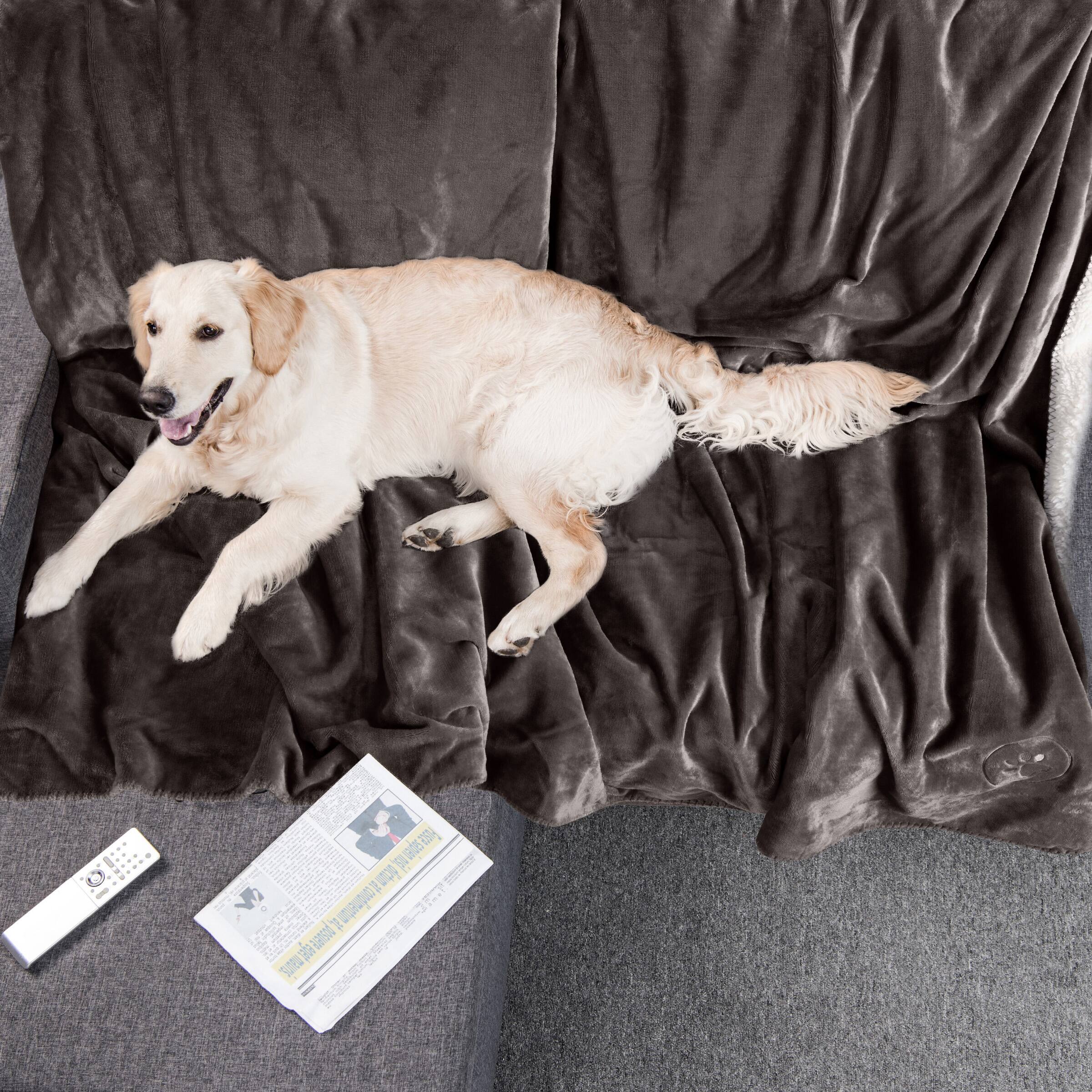 Sure, here is the corrected text:

- M Fusespen nis + spe 1 1 wpp . 1 u A posuere SUEW