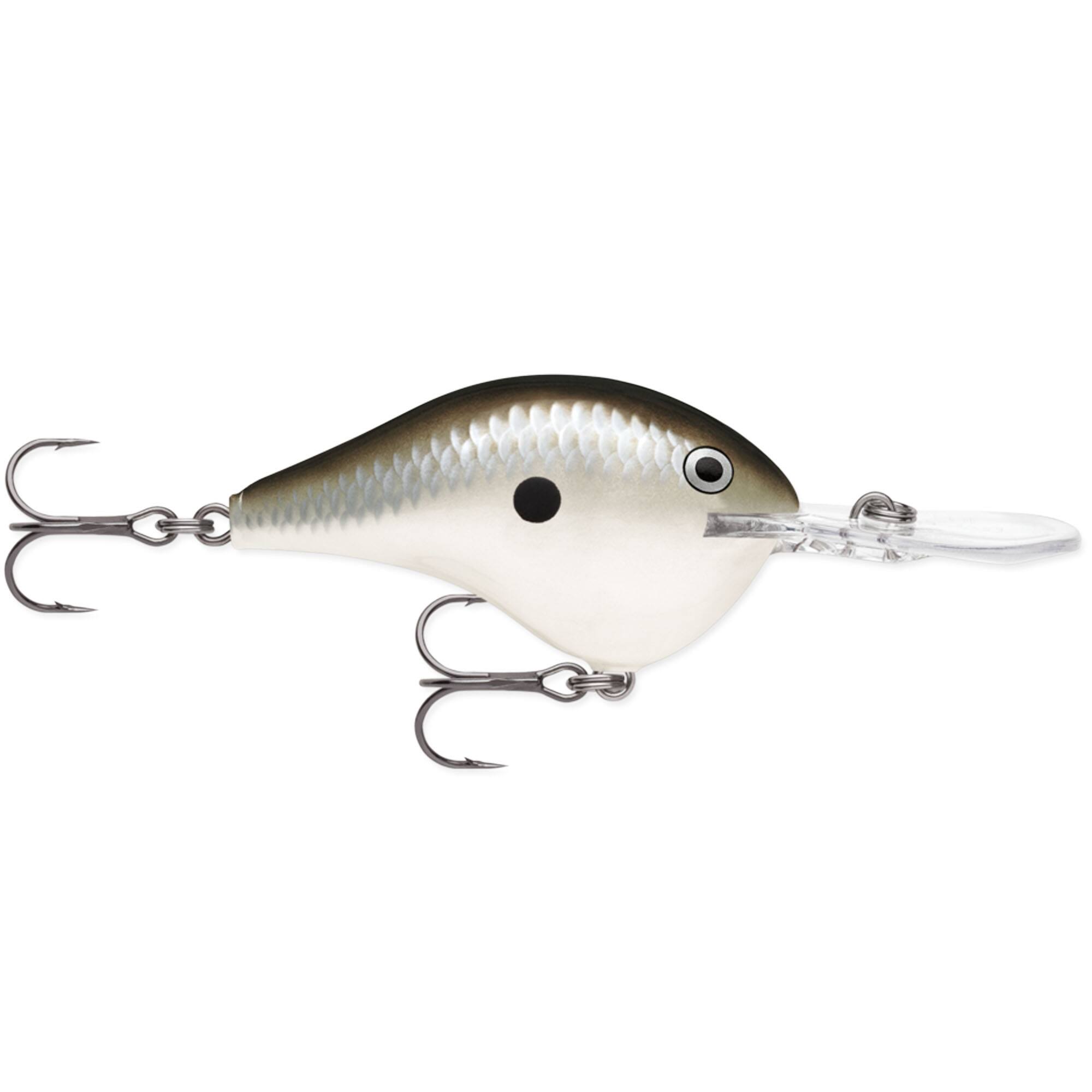Pearl Grey Shiner