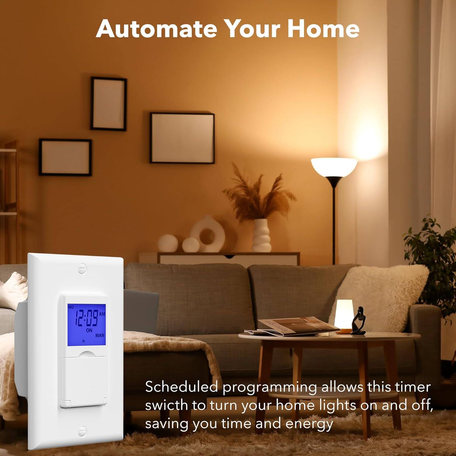Automate Your Home

Scheduled programming allows this timer switch to turn your home lights on and off, saving you time and energy.