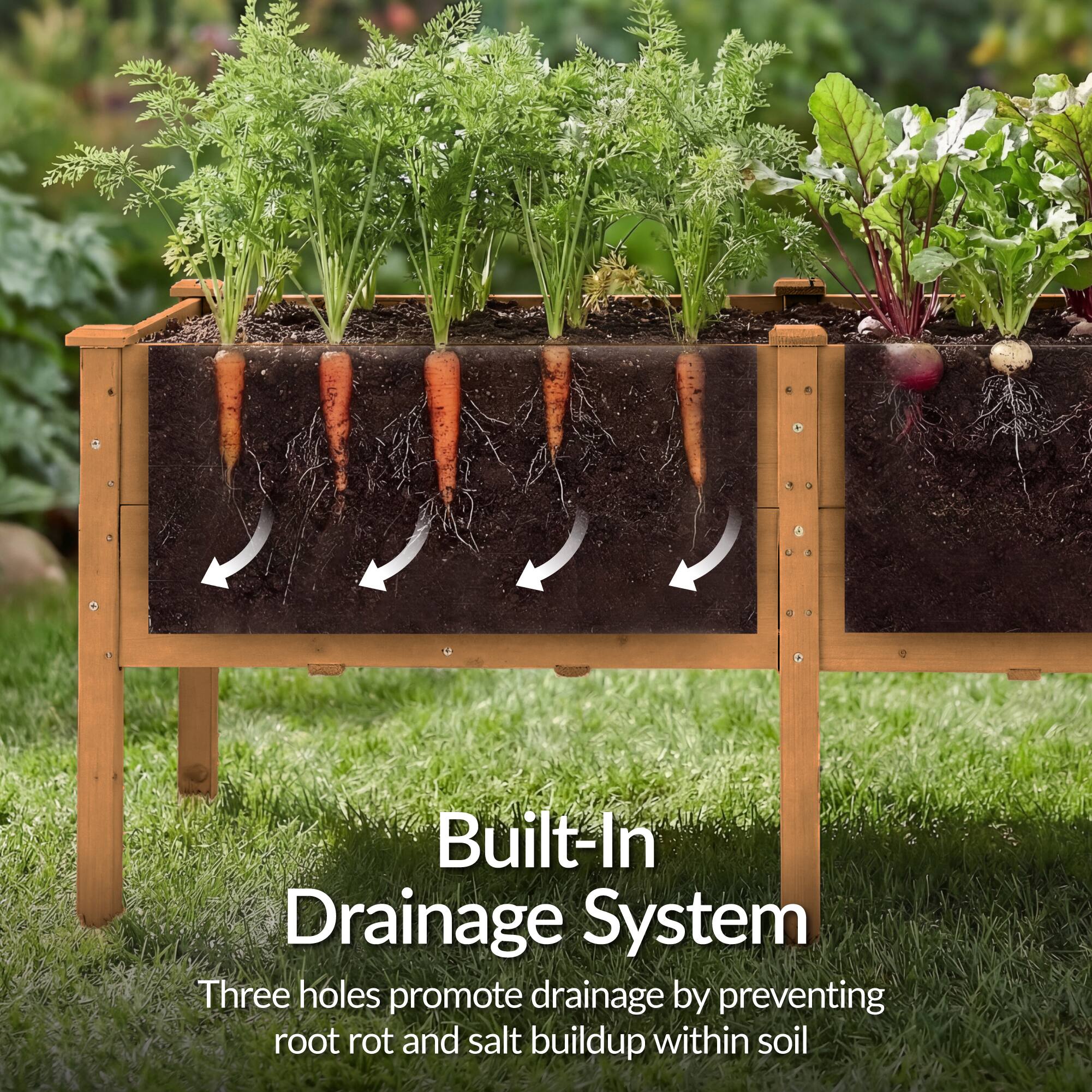 Built-In Drainage System  
Three holes promote drainage by preventing root rot and salt buildup within soil