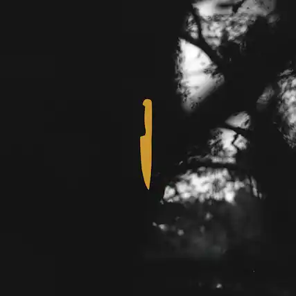 Front. Silent Comedy - Enemies Multiply - VINYL LP.