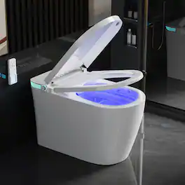 Dyonery - Smart Toilet with Bidet Built in, Elongated Toilet with Heated Seat, Dryer, Auto-Lift Lid, Soft Close - White