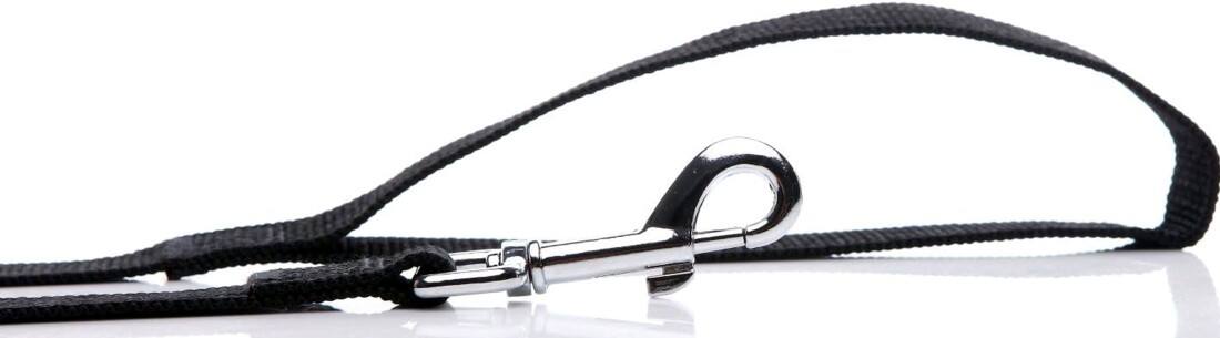 Alt View 3. Hunter - Calgary Hockey Flames 1 inch wide Large 6 Foot Dog Leash - Multi.