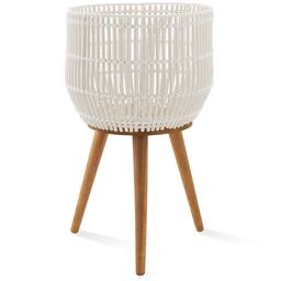 White with Natural Legs