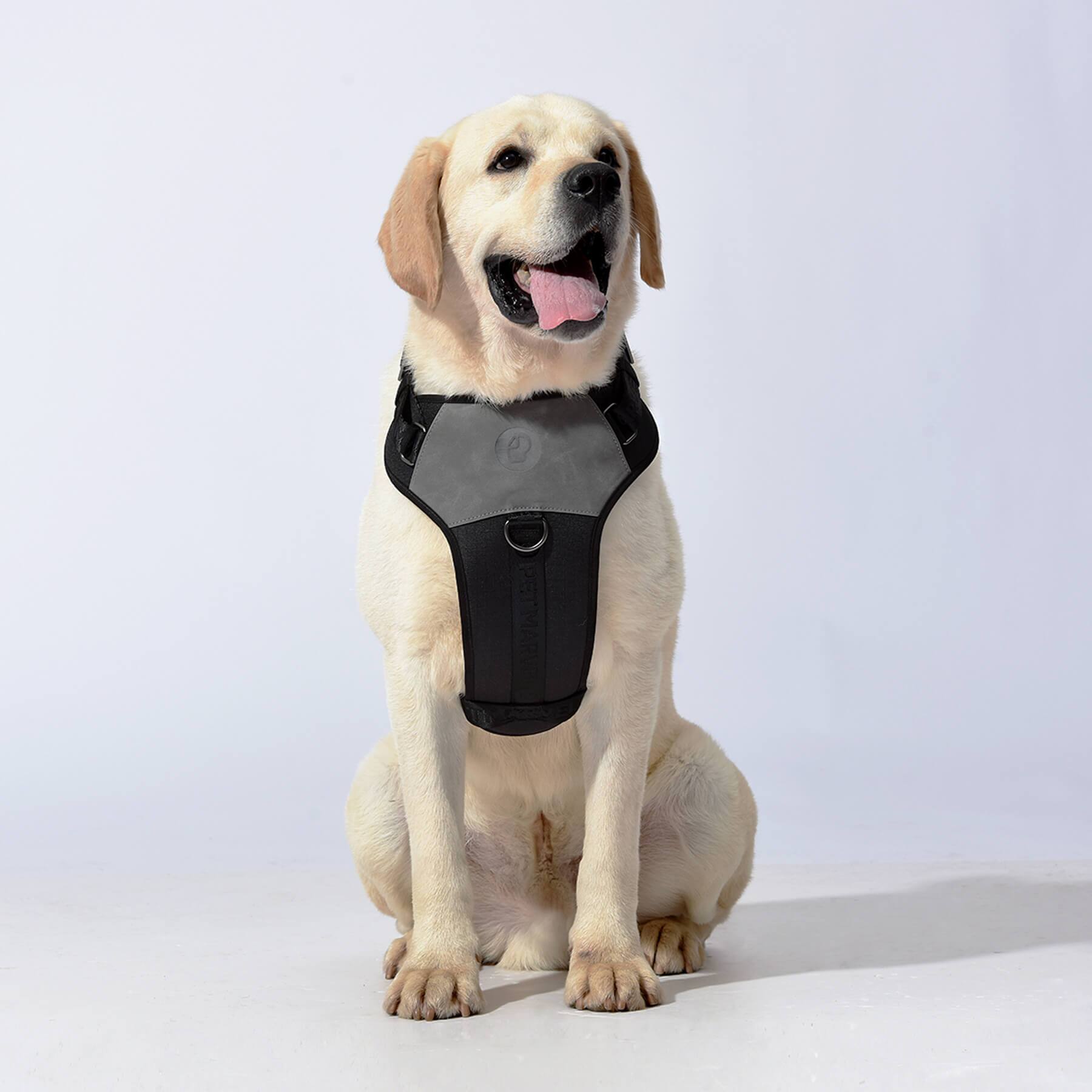 Alt View 4. PET MARVEL - PET MARVEL Adjustable Embroidered Stylish Dog Harness, Grey, M - Grey.