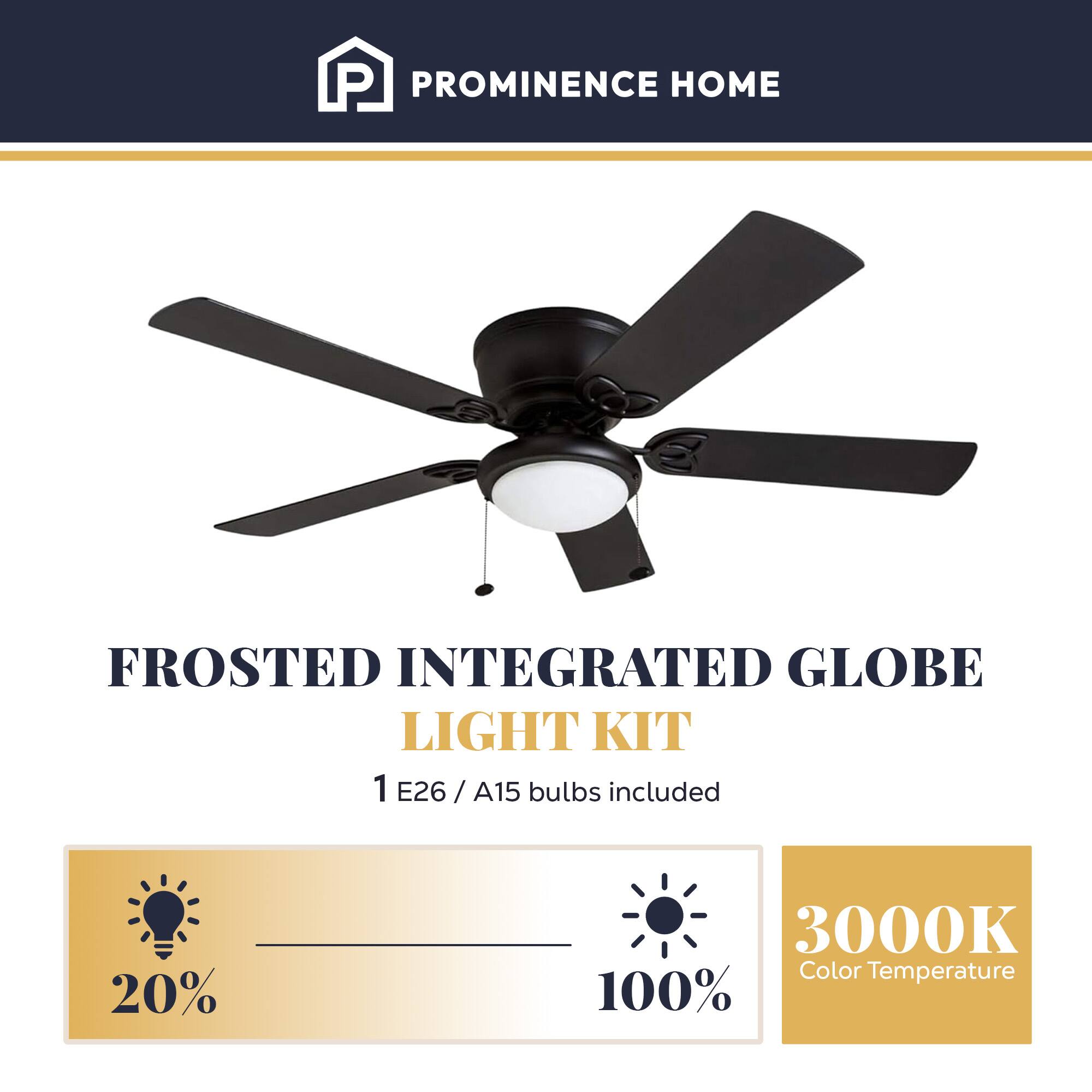 PROMINENCE HOME

FROSTED INTEGRATED GLOBE LIGHT KIT
1 E26 / A15 bulbs included

20%
3000K Color Temperature
100%