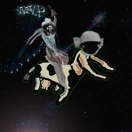 Matt Valentine - Preserves - VINYL LP
