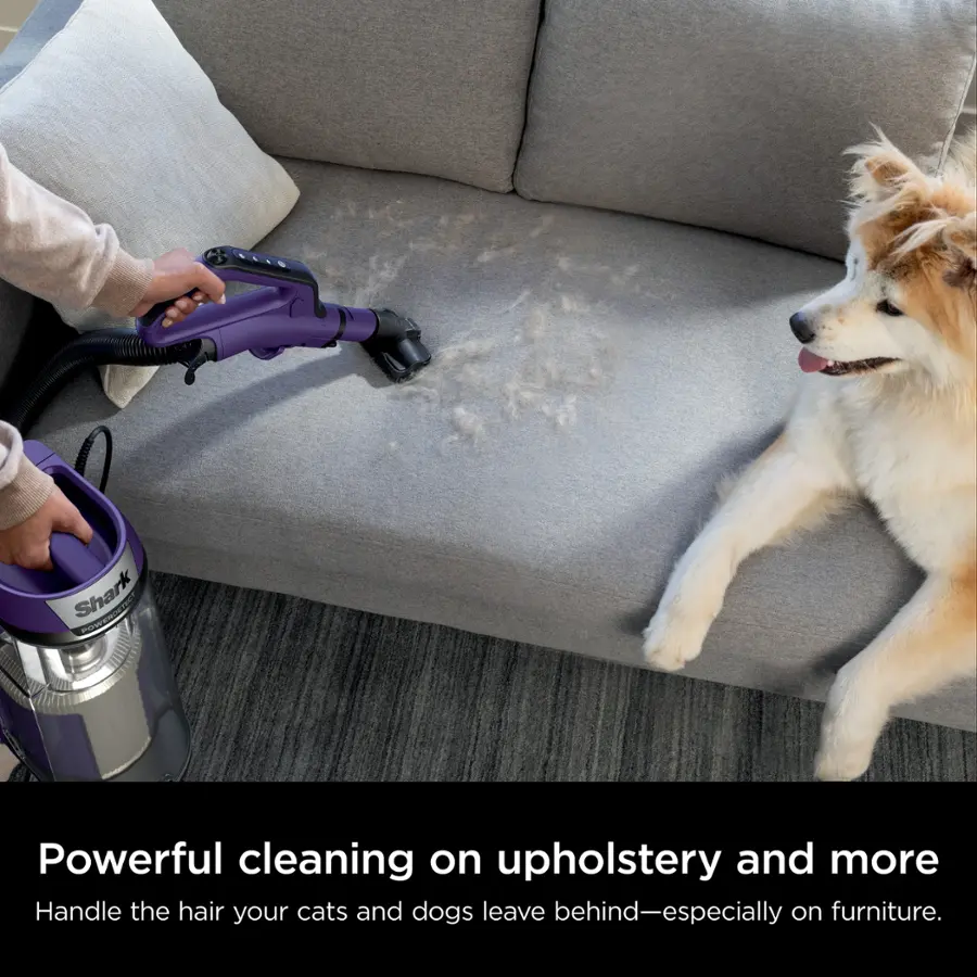Powerful cleaning on upholstery and more. Handle the hair your cats and dogs leave behind - especially on furniture.
