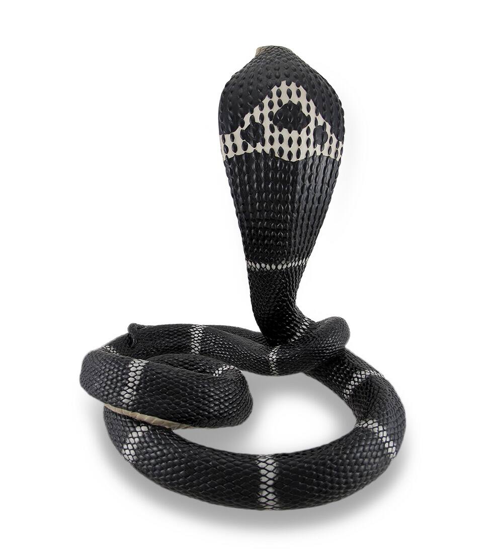 Alt View 2. Veronese Design - Coiled and Rearing King Cobra Sculptured Statue - Multicolored.