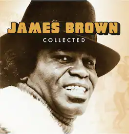 James Brown - Collected - VINYL LP