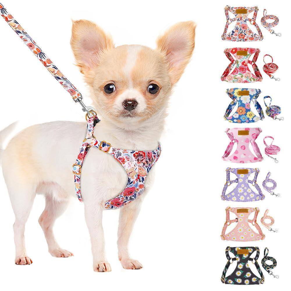 Flower-X-Small(6-11lb)