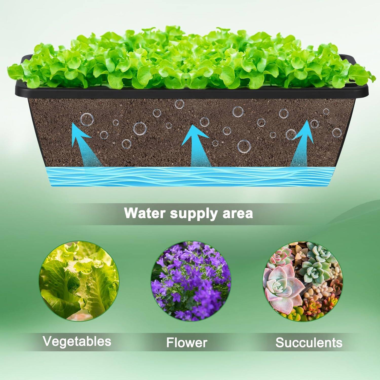 Water supply area

Vegetables

Flower

Succulents