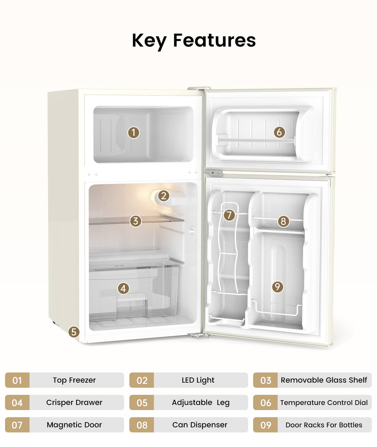 Key Features
1. Top Freezer
2. LED Light
3. Removable Glass Shelf
4. Crisper Drawer
5. Adjustable Leg
6. Temperature Control Dial
7. Magnetic Door
8. Can Dispenser
9. Door Racks For Bottles