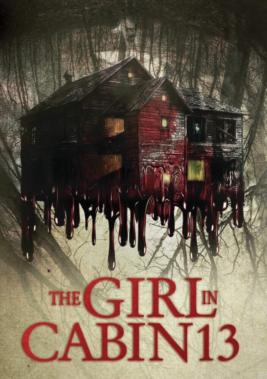 The Girl In Cabin 13  - DVD