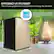 Angle. Whynter - 2.1 cu.ft Energy Star Upright Freezer with Lock - Rose Gold.