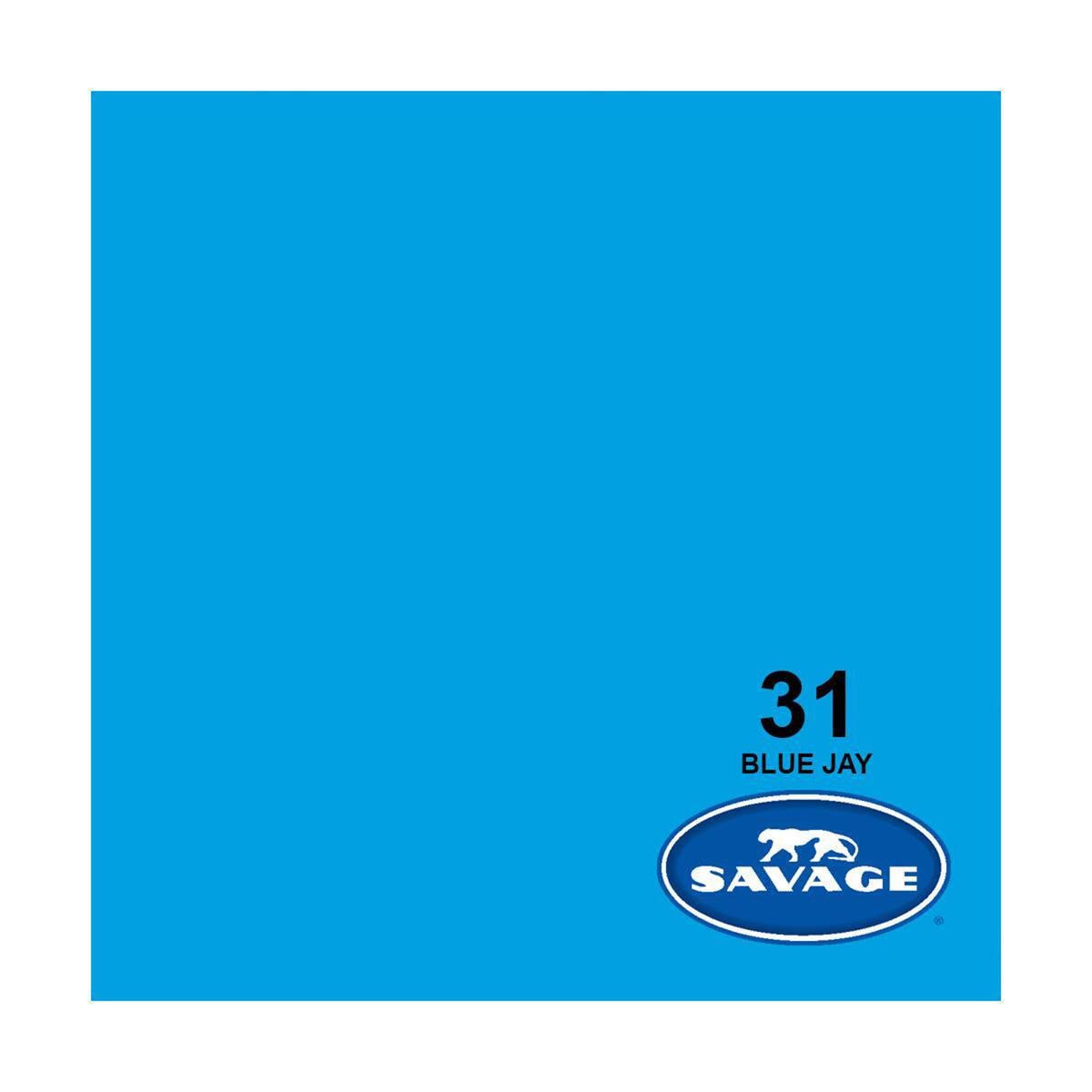 31 BLUE JAY  
SAVAGE