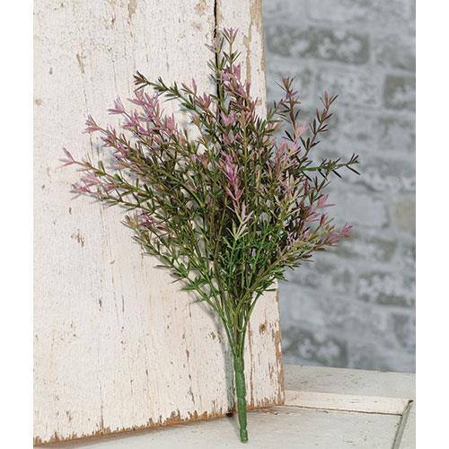 Front. BreeBe - Lavender Asparagus Bush 13" - Lavender.
