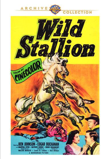 Wild Stallion - DVD