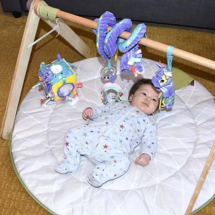 Alt View 10. TriAction Toys - Les Delingos Baby Activity Cube | Kiprokos the Zebra - Blue.