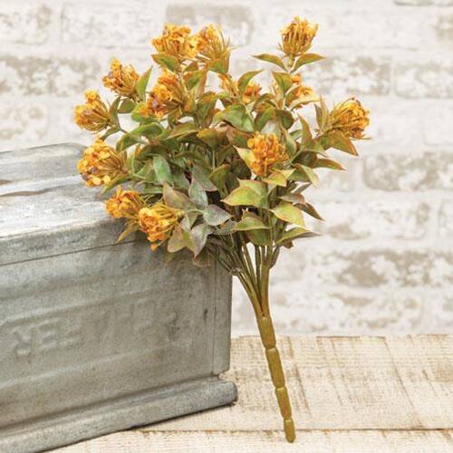 Angle. BreeBe - Late Bloomer Bush 11" Pumpkin - Multi.