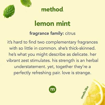 method.  
lemon mint  
fragrance family: citrus  

It's hard to find two complementary fragrances with so little in common. She's thick-skinned. He's what you might describe as delicate. Her vibrant zest stimulates. His strength is an herbal understatement. Yet, together they're a perfectly refreshing pair. Love is strange.  

smell like