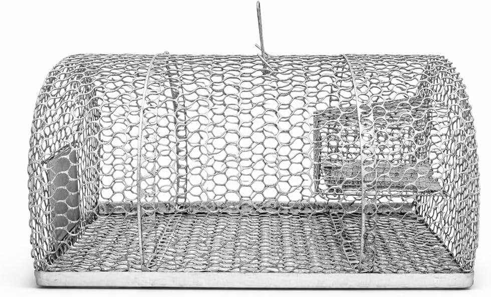 Angle. LIVEVIE - Humane Mouse Trap live Catch and Release Rodent Trap- Set of 4.