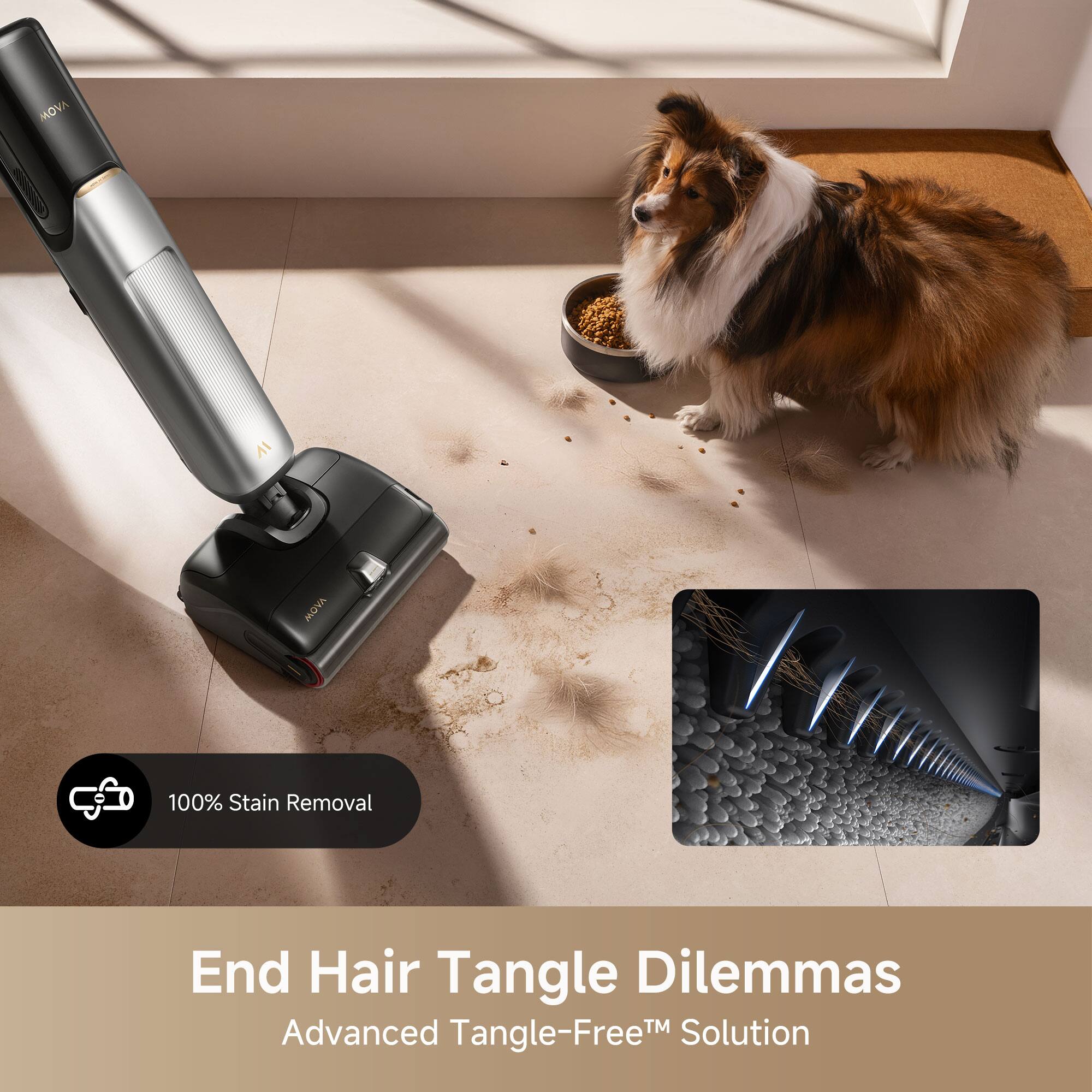 MOVA  
100% Stain Removal  
End Hair Tangle Dilemmas  
Advanced Tangle-Free™ Solution