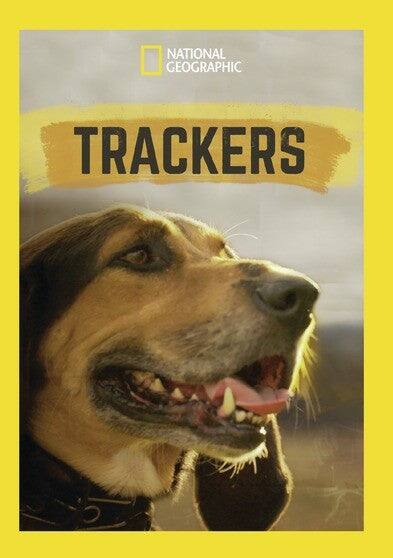 Trackers - DVD price history on PriceWatchPro