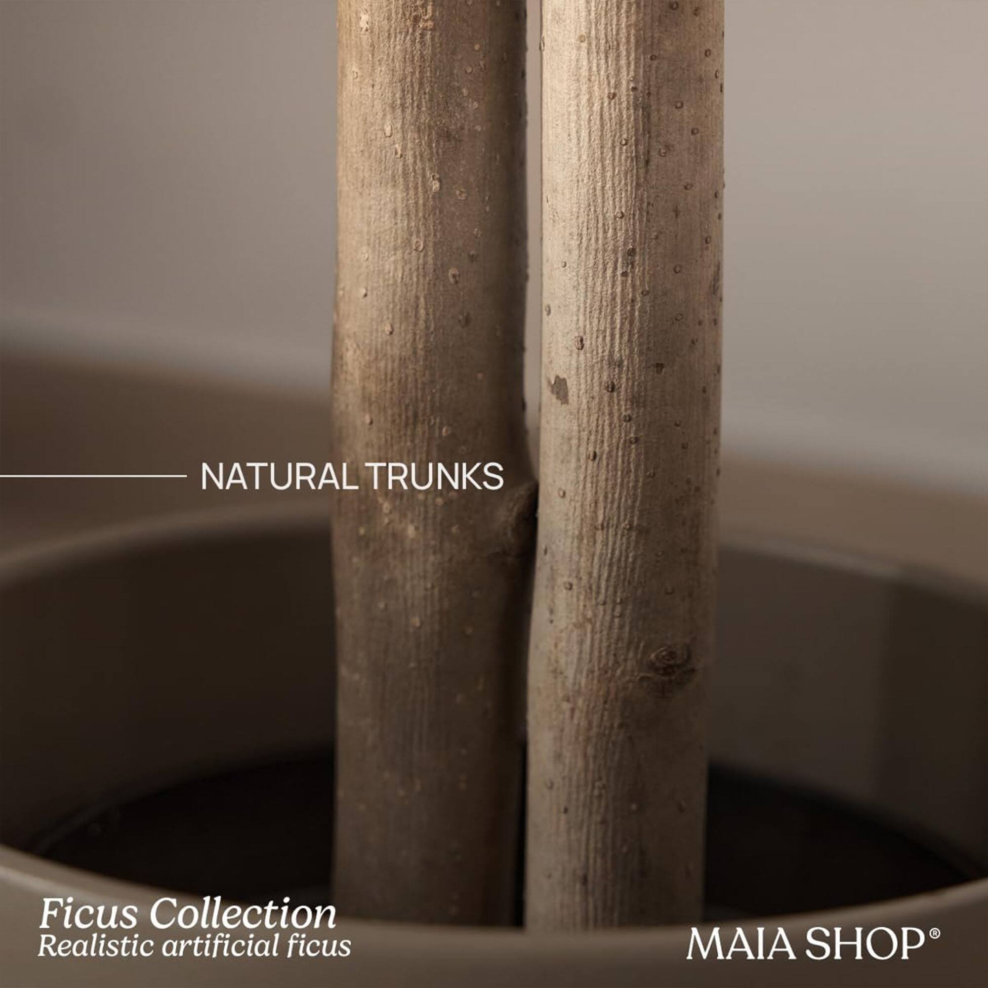 NATURAL TRUNKS

Ficus Collection  
Realistic artificial ficus

MAIA SHOP®