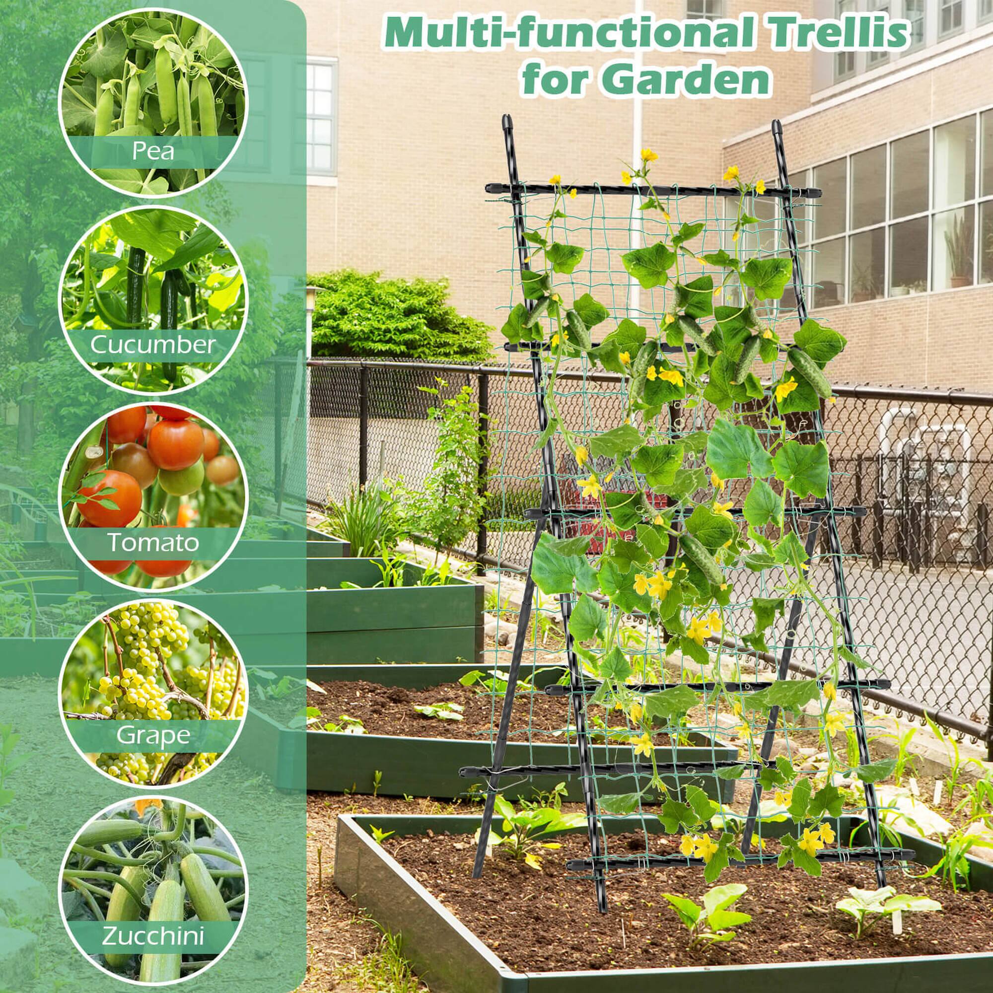 Multi-functional Trellis for Garden: Pea, Cucumber, Tomato, Grape, Zucchini
