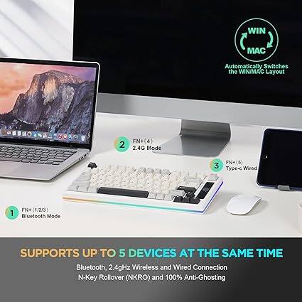 WIN/MAC Automatically Switches the WIN/MAC Layout

1. FN + (1/2/3) Bluetooth Mode
2. FN + (4) 2.4G Mode
3. FN + 5 Type-C Wired

SUPPORTS UP TO 5 DEVICES AT THE SAME TIME
Bluetooth, 2.4GHz Wireless and Wired Connection
N-Key Rollover (NKRO) and 100% Anti-Ghosting