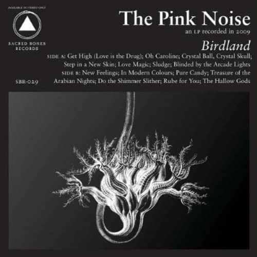 The Pink Noise - Birdland  - VINYL LP