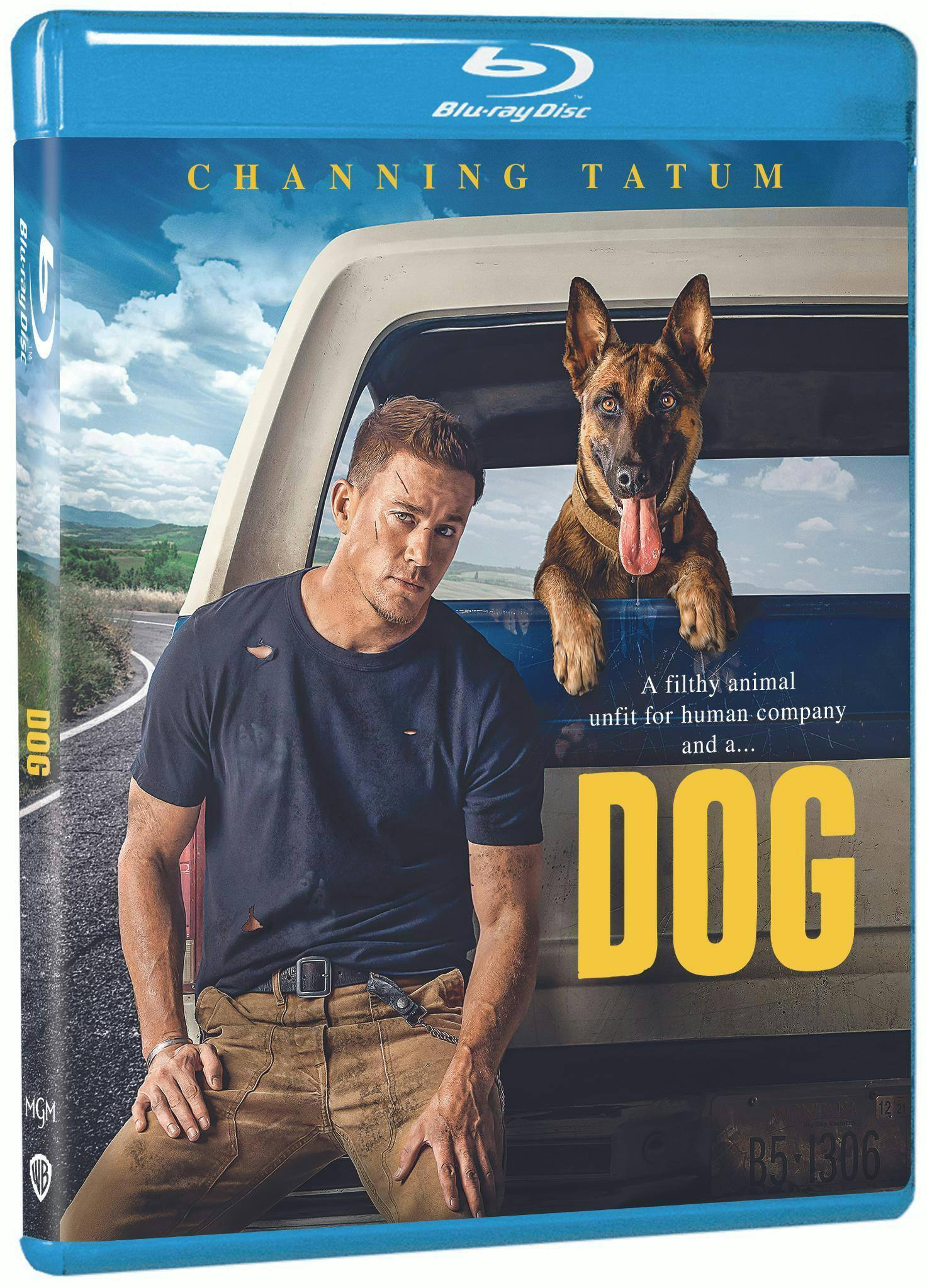 Angle. Dog (Blu-ray) [Blu-ray].