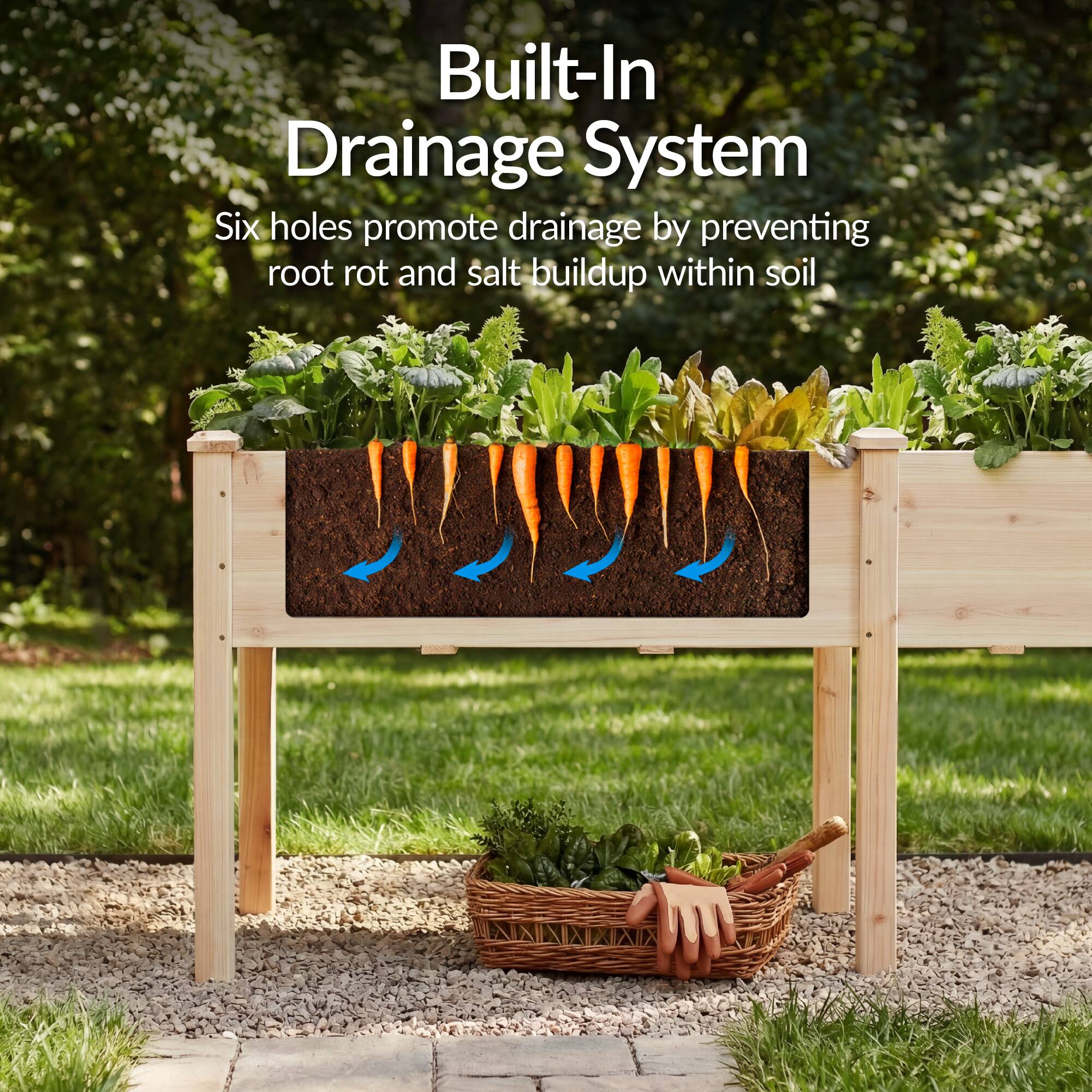 Built-In Drainage System  
Six holes promote drainage by preventing root rot and salt buildup within soil