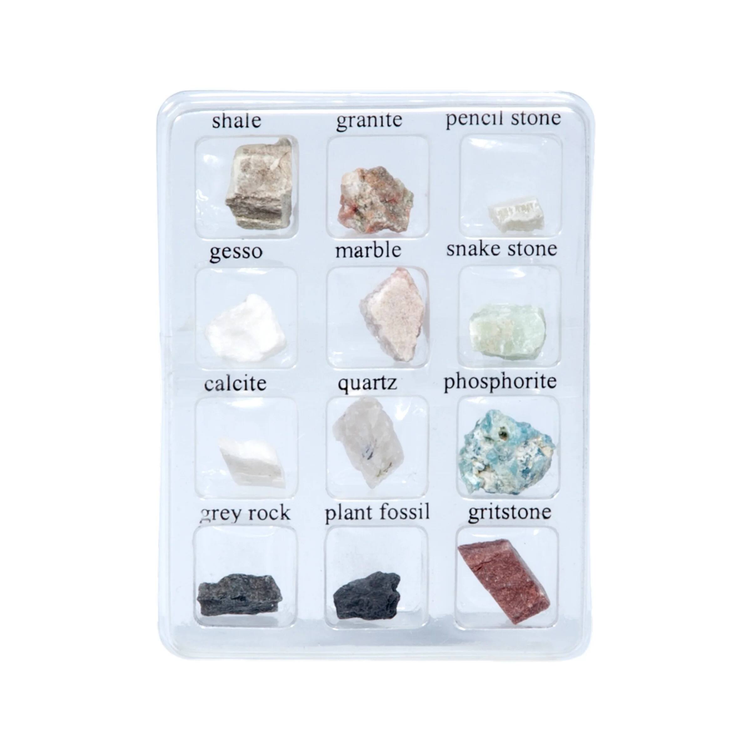 shale granite pencil stone gesso marble snake stone calcite quartz phosphorite grey rock plant fossil gritstone