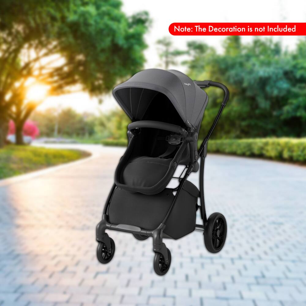 Note: The Decoration is not Included