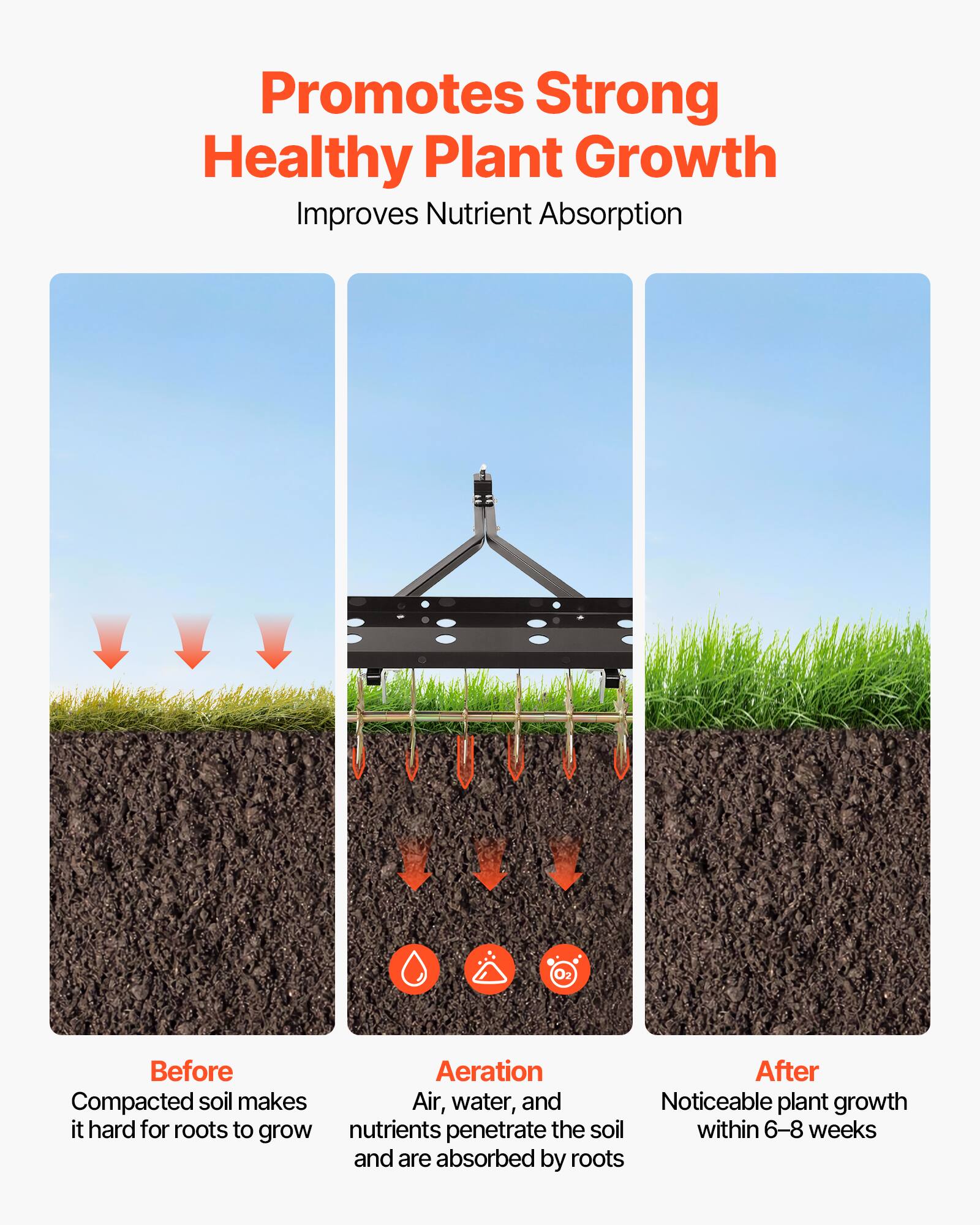 Promotes Strong Healthy Plant Growth  
Improves Nutrient Absorption  

Before  
Compacted soil makes it hard for roots to grow  

Aeration  
Air, water, and nutrients penetrate the soil and are absorbed by roots  

After  
Noticeable plant growth within 6-8 weeks