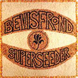 The Bevis Frond - Superseeder - VINYL LP