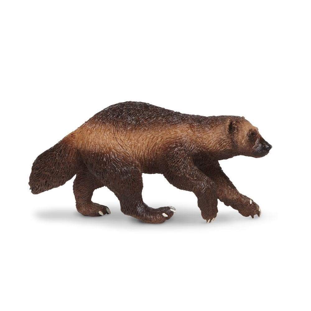 Angle. Safari Ltd. - Wolverine Toy Figurine.