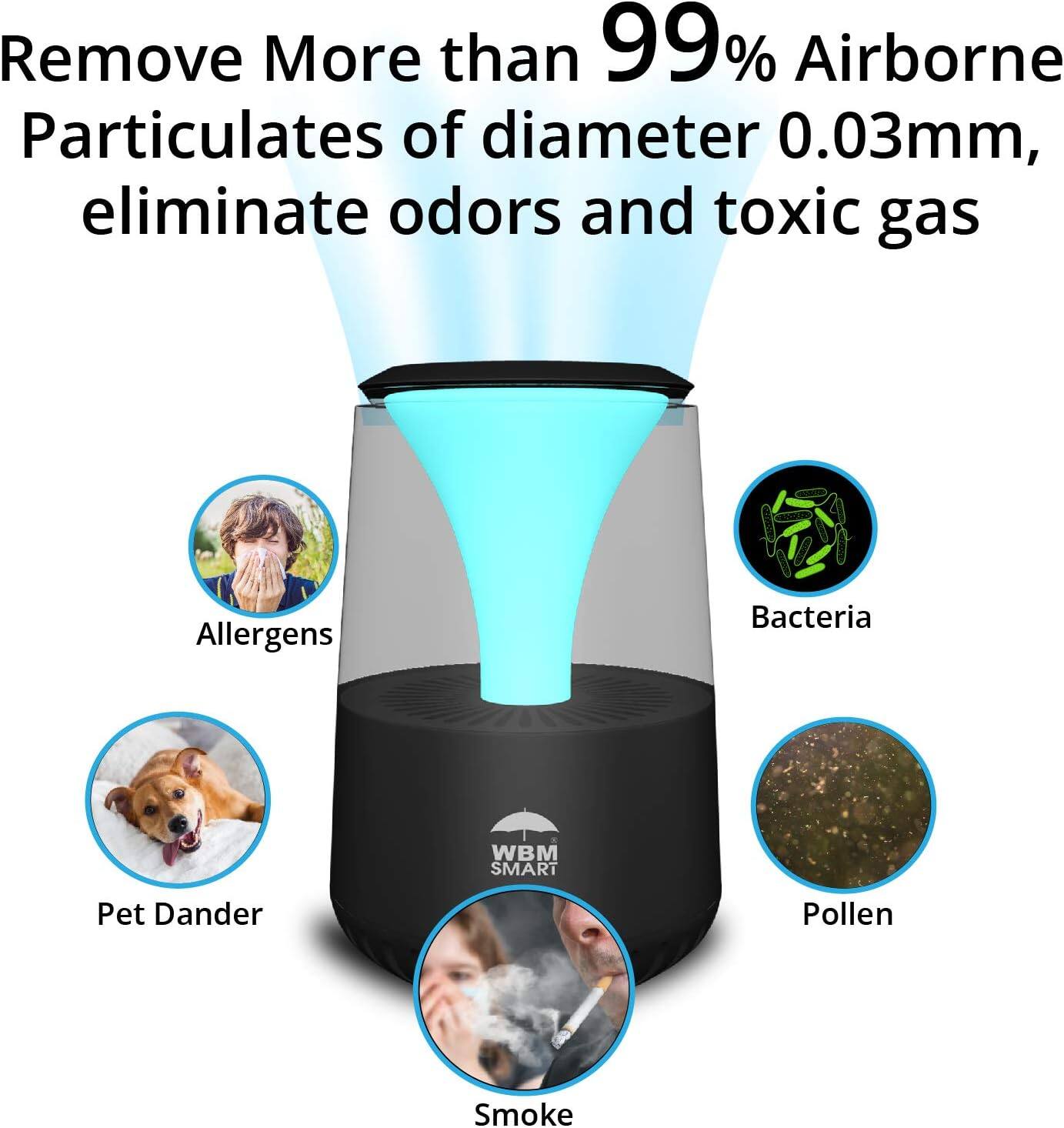 Remove More than 99% Airborne Particulates of diameter 0.03mm, eliminate odors and toxic gas

- Allergens
- Bacteria
- Pet Dander
- Pollen
- Smoke
