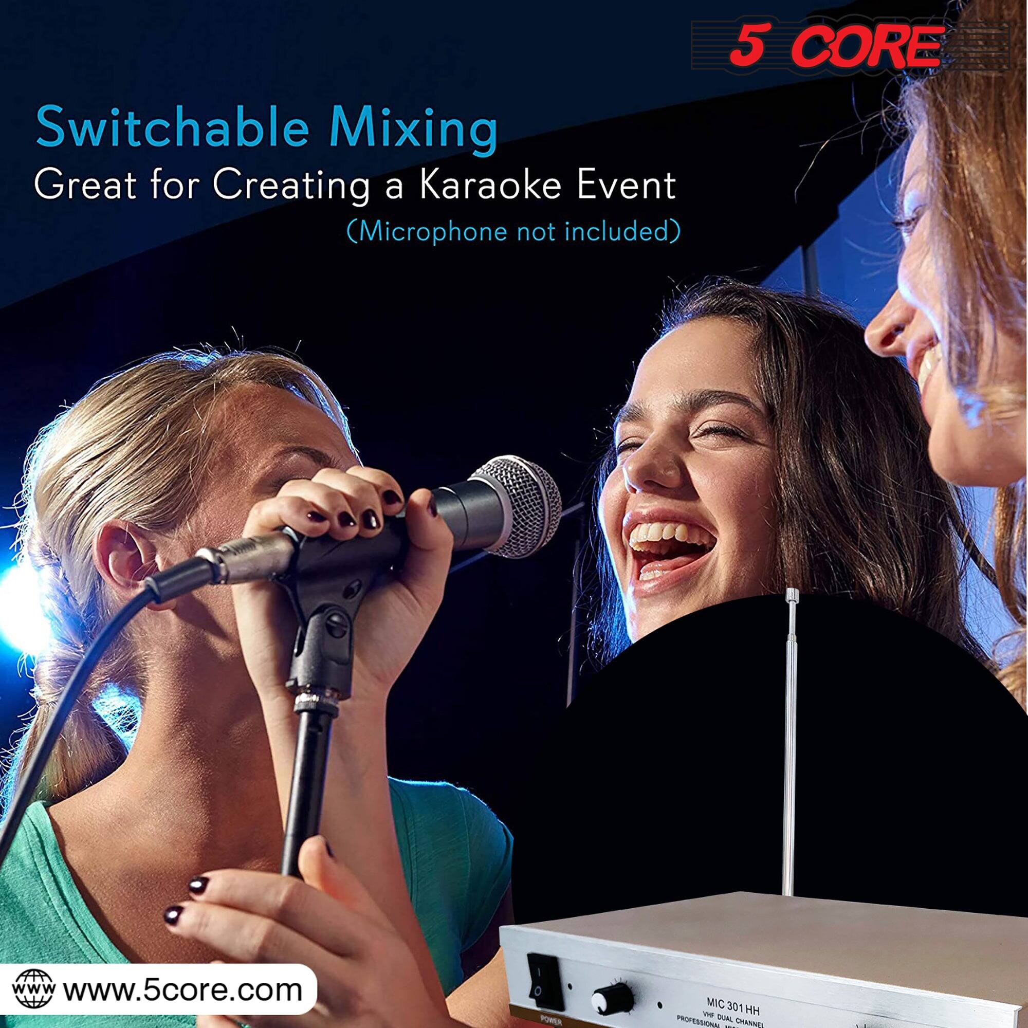 Switchable Mixing Great for Creating a Karaoke Event (Microphone not included)  
5 CORE  
www.5core.com  
PONEA MIC M301HH 301 - HM PROFESSIONAL 2 CHANNEL