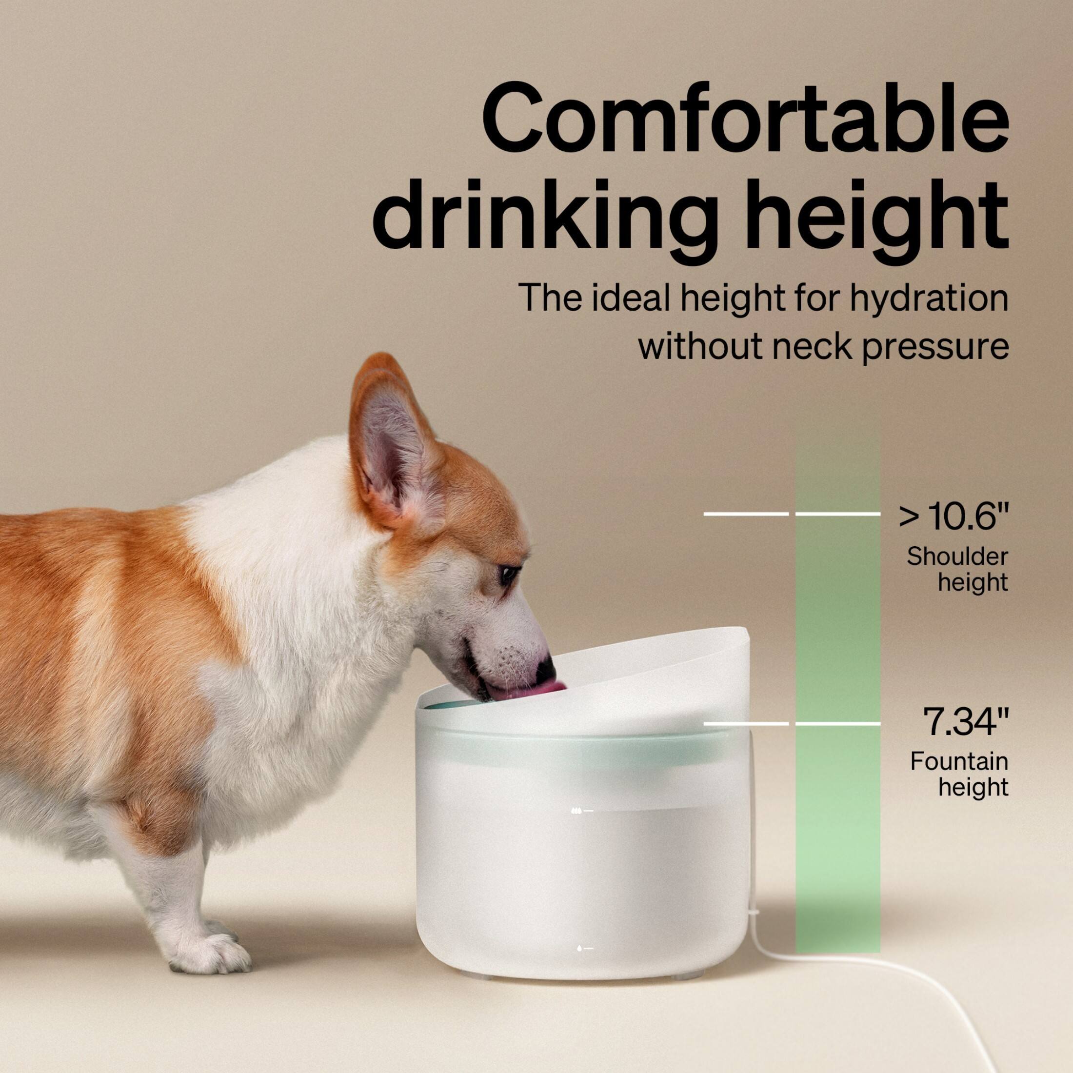 Comfortable Drinking Height: The ideal height for hydration without neck pressure is over 10.6 inches.
Shoulder Height: The shoulder height is 7.34 inches.
Fountain Height: The fountain height is not provided in the image.