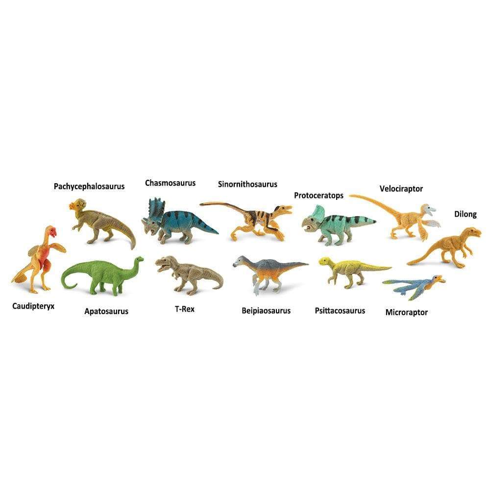 Chasmosaurus  
Sinornithosaurus  
Pachycephalosaurus  
Protoceratops  
Velociraptor  
Dilong  
Caudipteryx  
Apatosaurus  
T-Rex  
Beipiaosaurus  
Psittacosaurus  
Microraptor