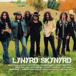 Lynyrd Skynyrd - Icon - VINYL LP