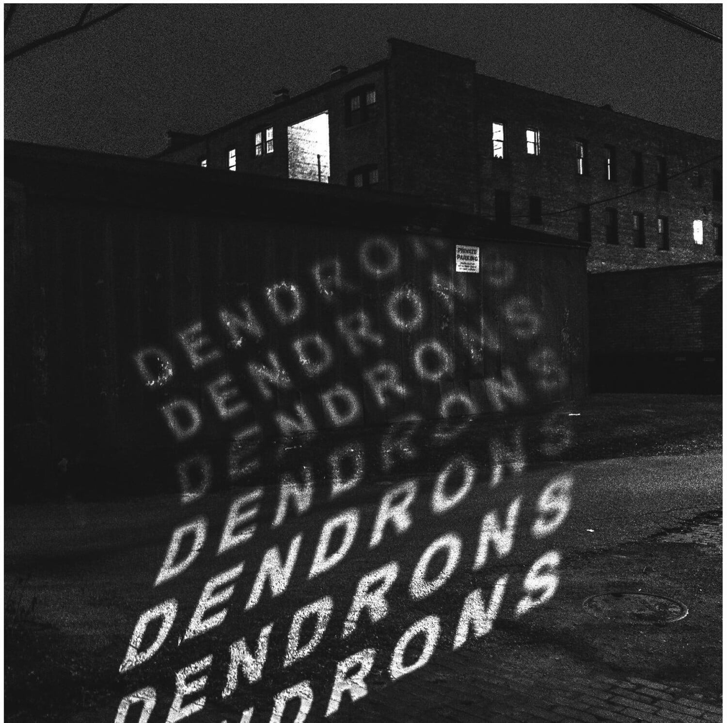 Dendrons - Dendrons - VINYL LP