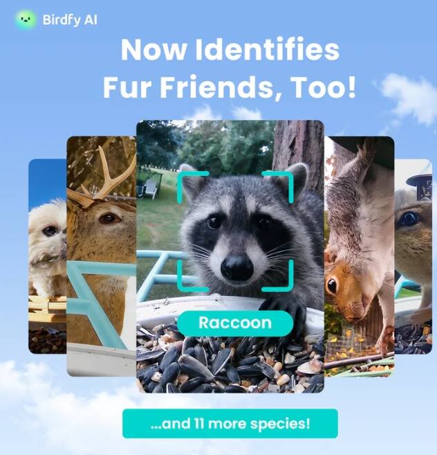 Birdfy AI Now Identifies Fur Friends, Too! Raccoon ...and 11 more species!