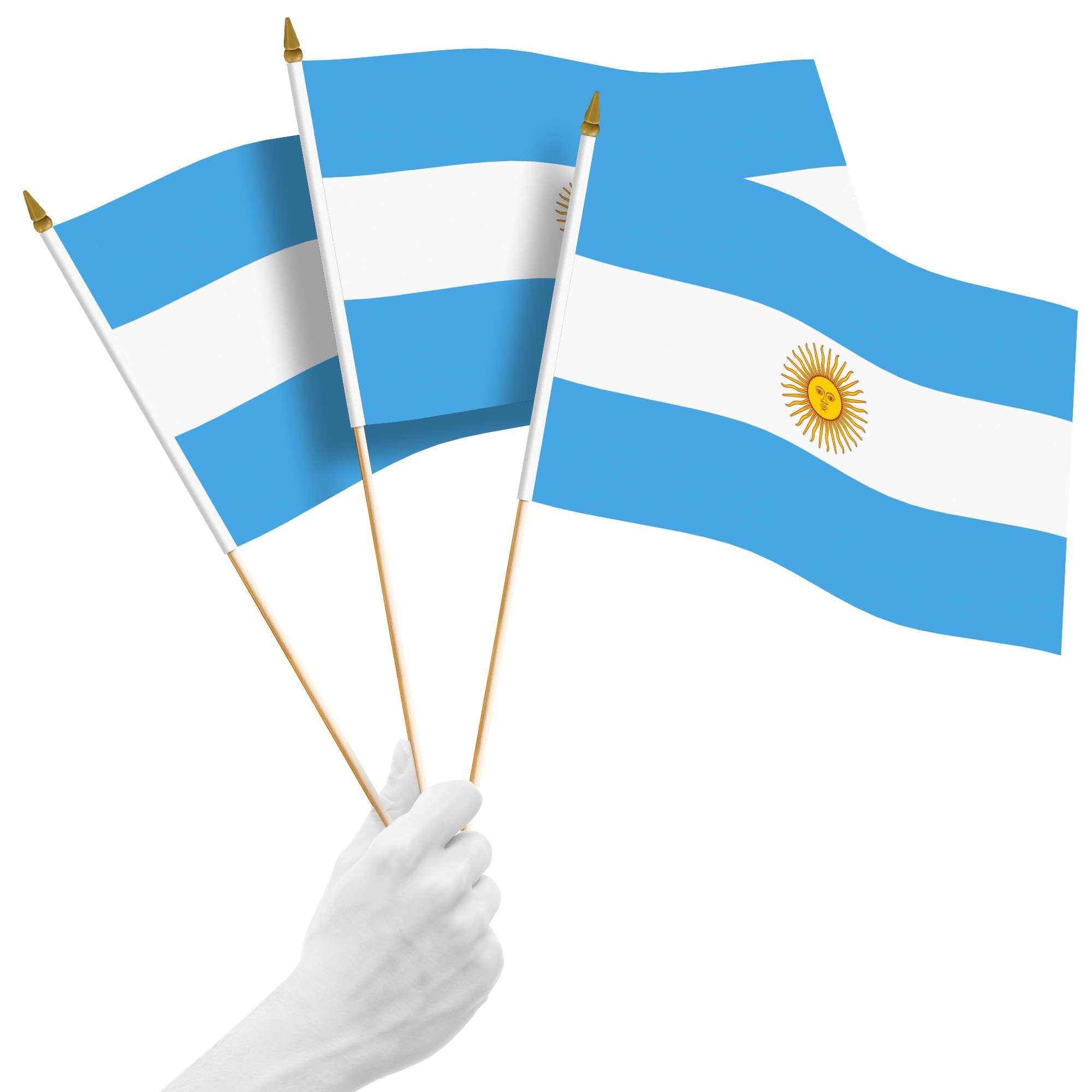 Front. G128 - 10-Pack 12 x 18 in Argentina Handheld Stick Flags - Blue and White.