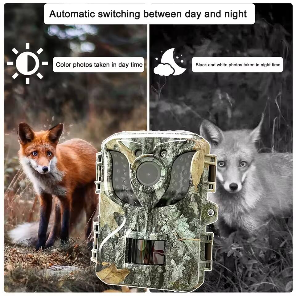 Automatic switching between day and night

Color photos taken in day time

Black and white photos taken in night time