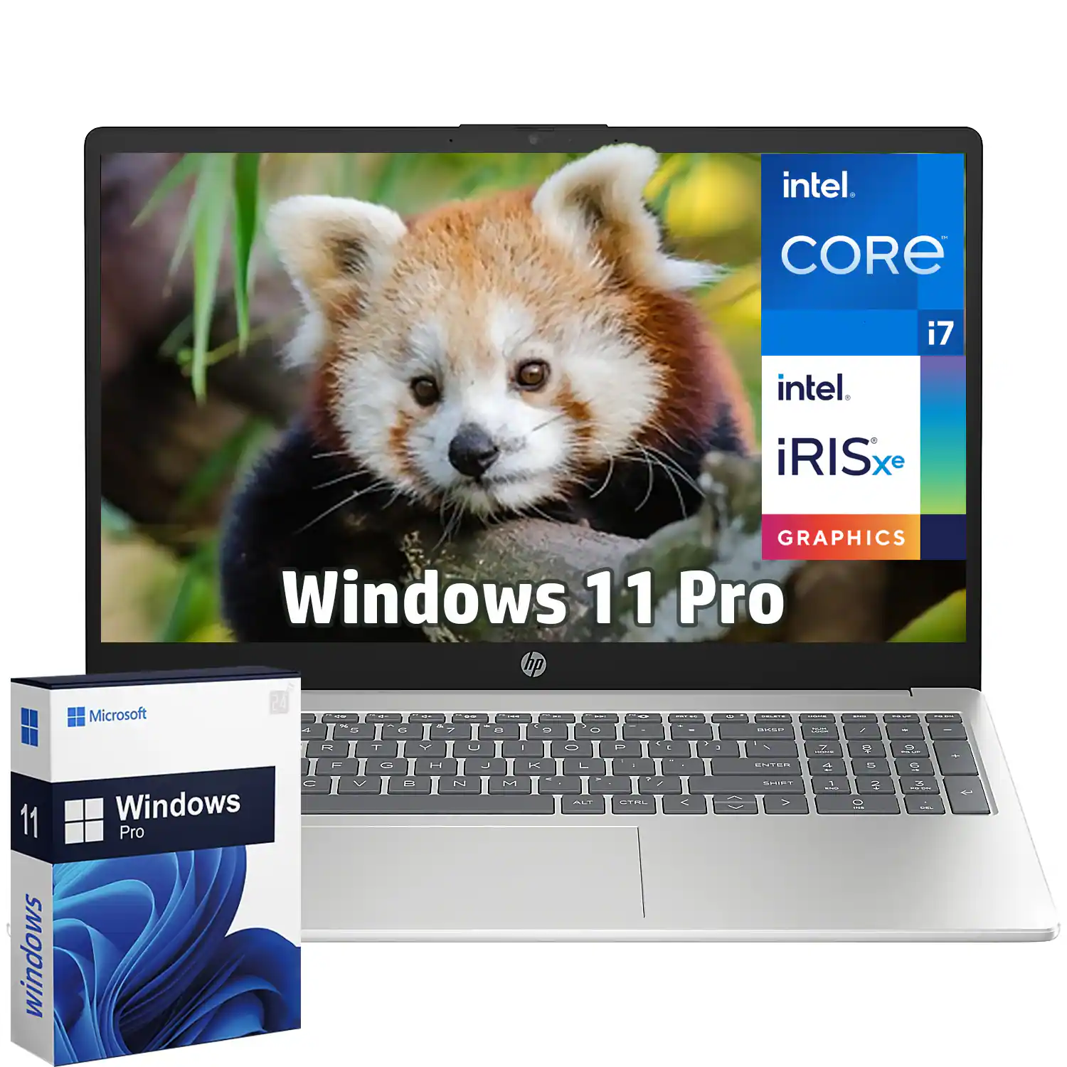 intel CORE i7  
intel iRIS Xe GRAPHICS  
Windows 11 Pro  
HP 24  
Microsoft Windows 11 Pro